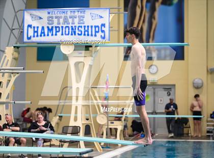 Thumbnail 1 in CHSAA 4A Dive Finals photogallery.