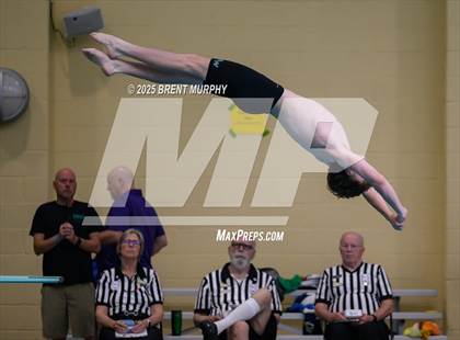Thumbnail 2 in CHSAA 4A Dive Finals photogallery.