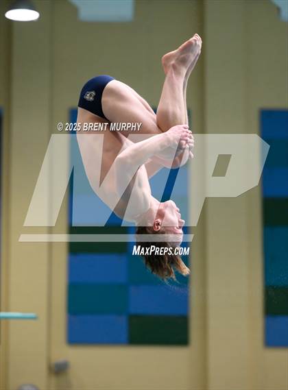 Thumbnail 2 in CHSAA 4A Dive Finals photogallery.