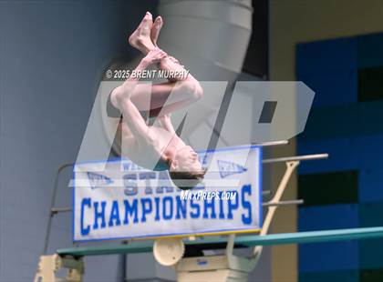Thumbnail 2 in CHSAA 4A Dive Finals photogallery.