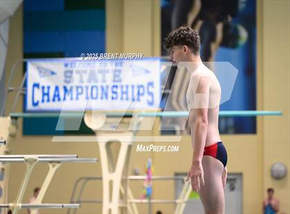 Thumbnail 1 in CHSAA 4A Dive Finals photogallery.