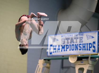 Thumbnail 1 in CHSAA 4A Dive Finals photogallery.