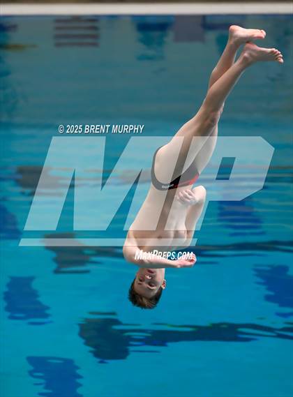 Thumbnail 2 in CHSAA 4A Dive Finals photogallery.