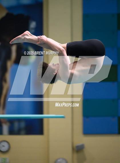 Thumbnail 1 in CHSAA 4A Dive Finals photogallery.
