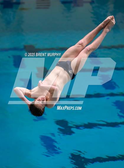 Thumbnail 3 in CHSAA 4A Dive Finals photogallery.