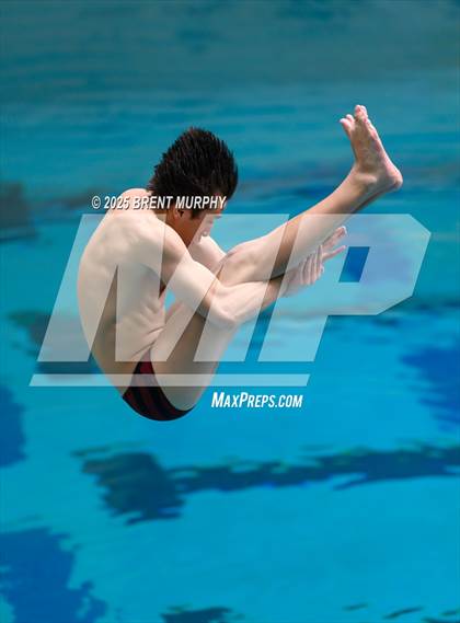 Thumbnail 1 in CHSAA 4A Dive Finals photogallery.