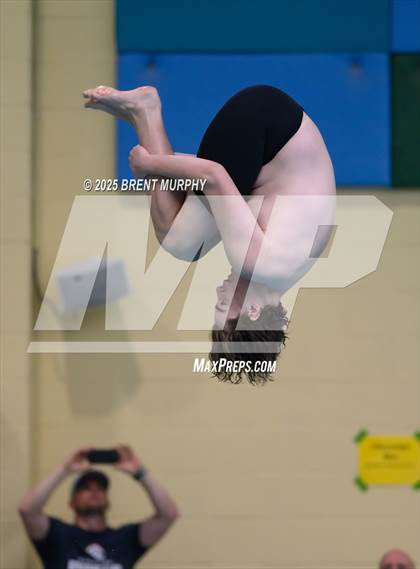 Thumbnail 1 in CHSAA 4A Dive Finals photogallery.