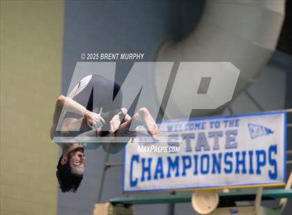 Thumbnail 1 in CHSAA 4A Dive Finals photogallery.