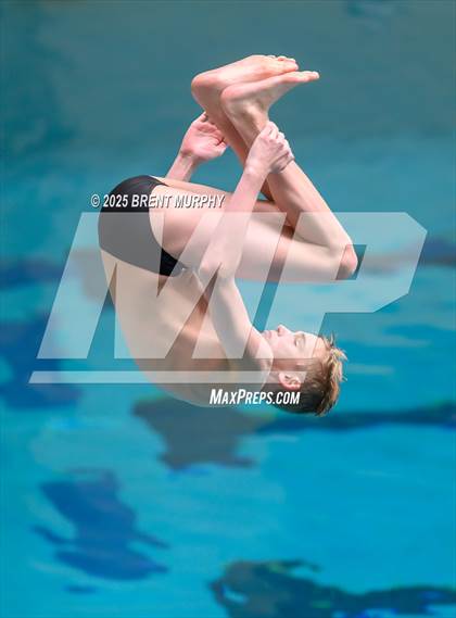 Thumbnail 2 in CHSAA 4A Dive Finals photogallery.