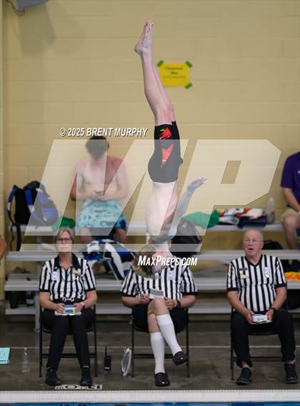 Thumbnail 1 in CHSAA 4A Dive Finals photogallery.