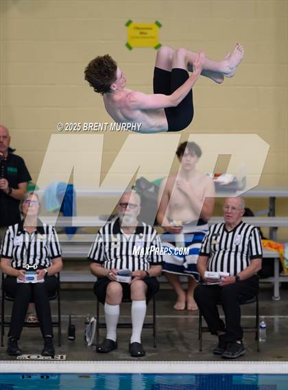Thumbnail 1 in CHSAA 4A Dive Finals photogallery.