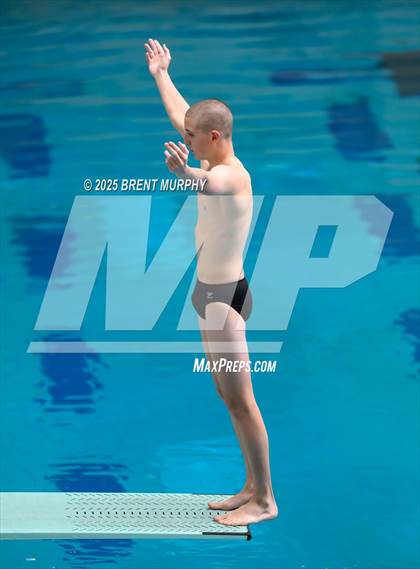 Thumbnail 3 in CHSAA 4A Dive Finals photogallery.