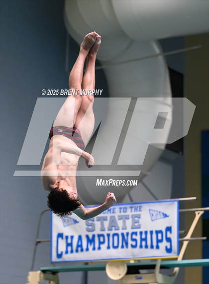 Thumbnail 2 in CHSAA 4A Dive Finals photogallery.