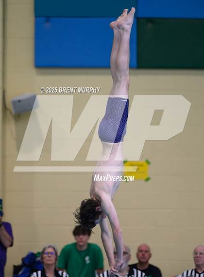 Thumbnail 3 in CHSAA 4A Dive Finals photogallery.