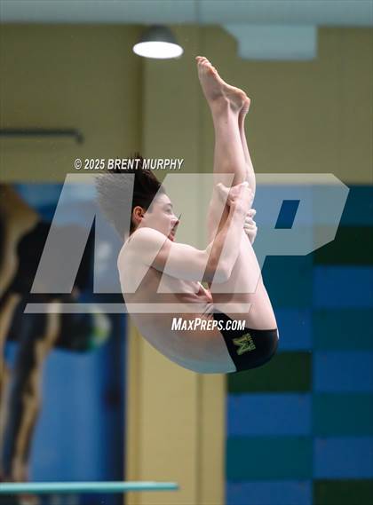 Thumbnail 1 in CHSAA 4A Dive Finals photogallery.