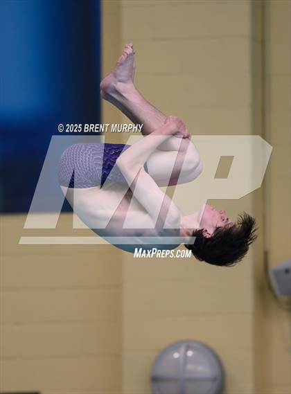 Thumbnail 1 in CHSAA 4A Dive Finals photogallery.