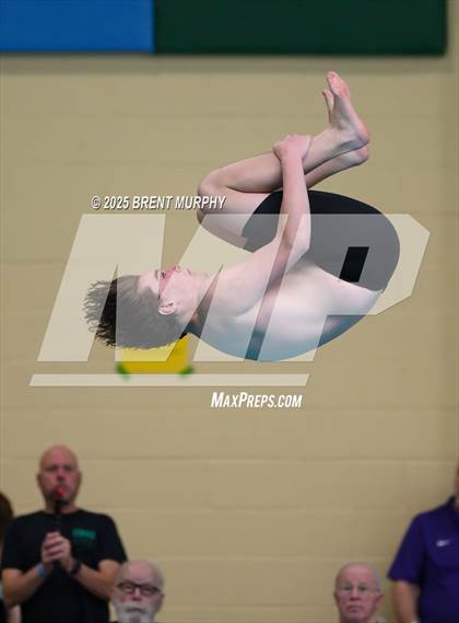 Thumbnail 3 in CHSAA 4A Dive Finals photogallery.