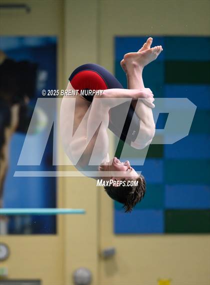 Thumbnail 1 in CHSAA 4A Dive Finals photogallery.