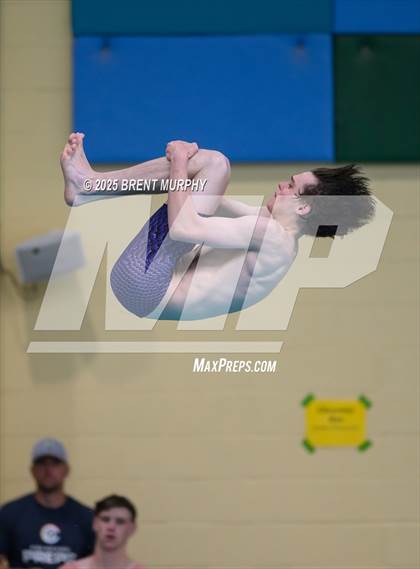 Thumbnail 3 in CHSAA 4A Dive Finals photogallery.