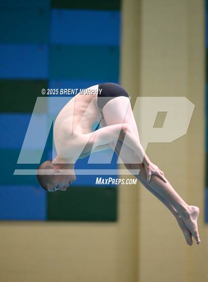 Thumbnail 3 in CHSAA 4A Dive Finals photogallery.