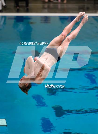 Thumbnail 1 in CHSAA 4A Dive Finals photogallery.