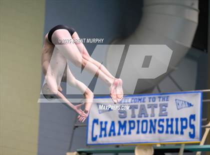 Thumbnail 1 in CHSAA 4A Dive Finals photogallery.