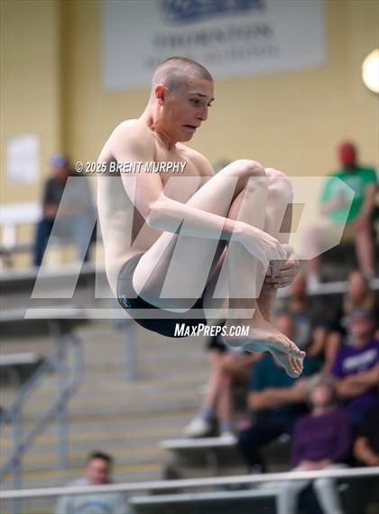 Thumbnail 3 in CHSAA 4A Dive Finals photogallery.
