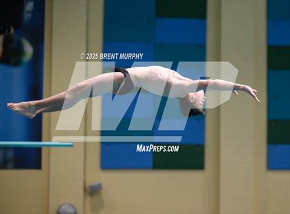Thumbnail 1 in CHSAA 4A Dive Finals photogallery.