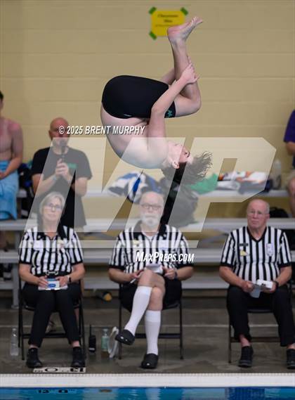 Thumbnail 2 in CHSAA 4A Dive Finals photogallery.