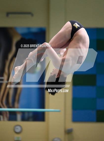 Thumbnail 2 in CHSAA 4A Dive Finals photogallery.