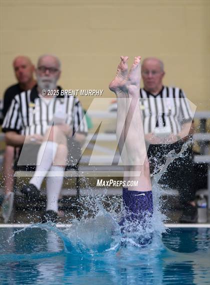 Thumbnail 1 in CHSAA 4A Dive Finals photogallery.