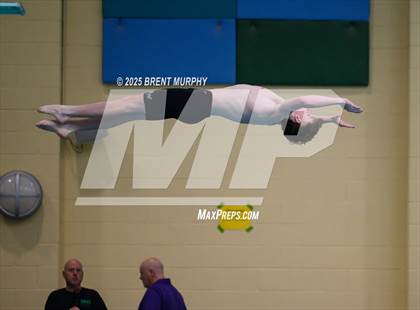 Thumbnail 1 in CHSAA 4A Dive Finals photogallery.