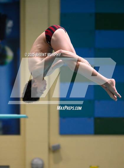 Thumbnail 1 in CHSAA 4A Dive Finals photogallery.