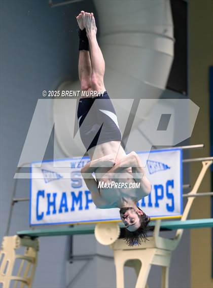 Thumbnail 1 in CHSAA 4A Dive Finals photogallery.