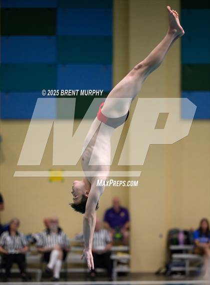 Thumbnail 1 in CHSAA 4A Dive Finals photogallery.