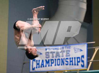 Thumbnail 3 in CHSAA 4A Dive Finals photogallery.