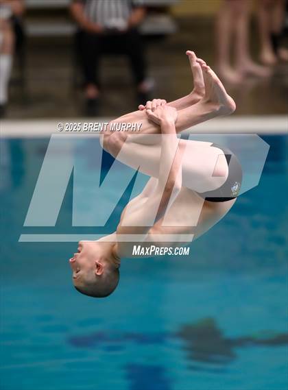 Thumbnail 1 in CHSAA 4A Dive Finals photogallery.