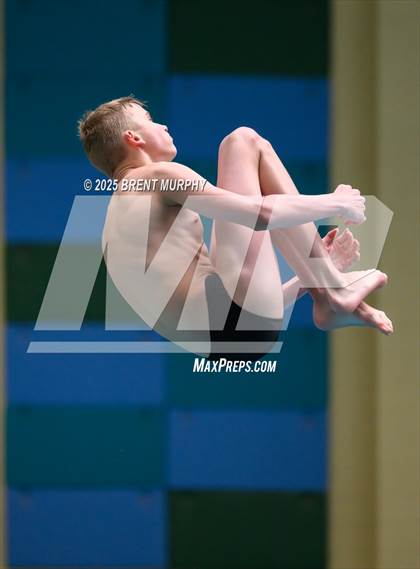 Thumbnail 2 in CHSAA 4A Dive Finals photogallery.