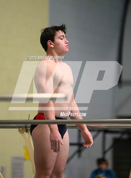 Thumbnail 2 in CHSAA 4A Dive Finals photogallery.