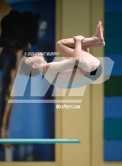 Thumbnail 2 in CHSAA 4A Dive Finals photogallery.