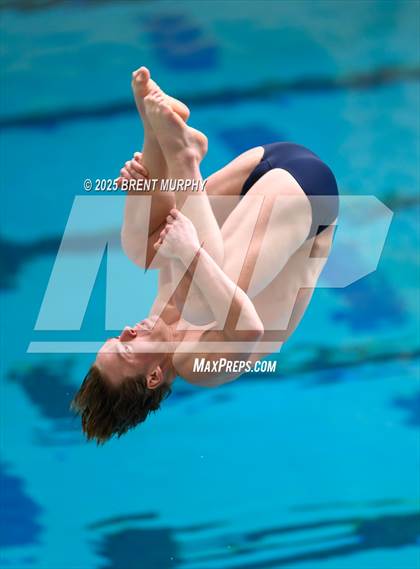 Thumbnail 3 in CHSAA 4A Dive Finals photogallery.