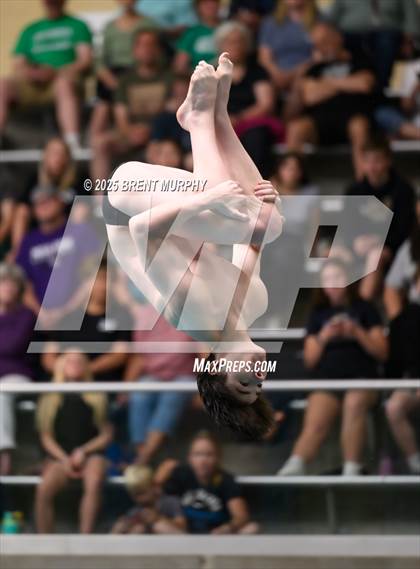 Thumbnail 1 in CHSAA 4A Dive Finals photogallery.