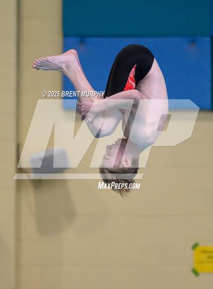 Thumbnail 3 in CHSAA 4A Dive Finals photogallery.