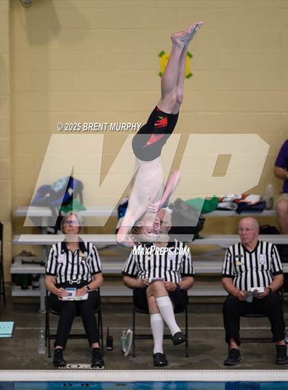 Thumbnail 3 in CHSAA 4A Dive Finals photogallery.