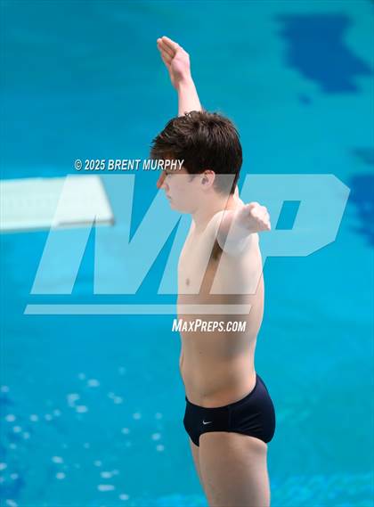 Thumbnail 3 in CHSAA 4A Dive Finals photogallery.