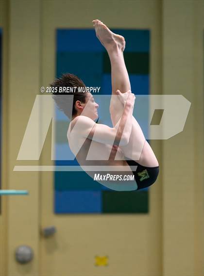 Thumbnail 3 in CHSAA 4A Dive Finals photogallery.