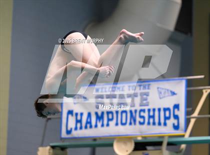 Thumbnail 1 in CHSAA 4A Dive Finals photogallery.