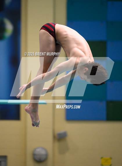 Thumbnail 1 in CHSAA 4A Dive Finals photogallery.