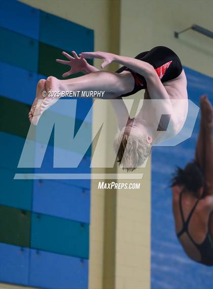 Thumbnail 1 in CHSAA 4A Dive Finals photogallery.