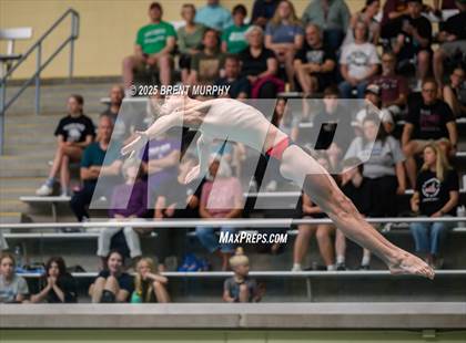 Thumbnail 2 in CHSAA 4A Dive Finals photogallery.